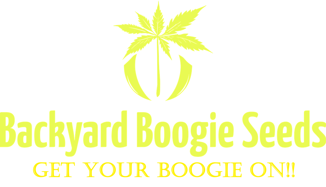 bybseedco.com